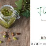 Flieder Gemmotherapie