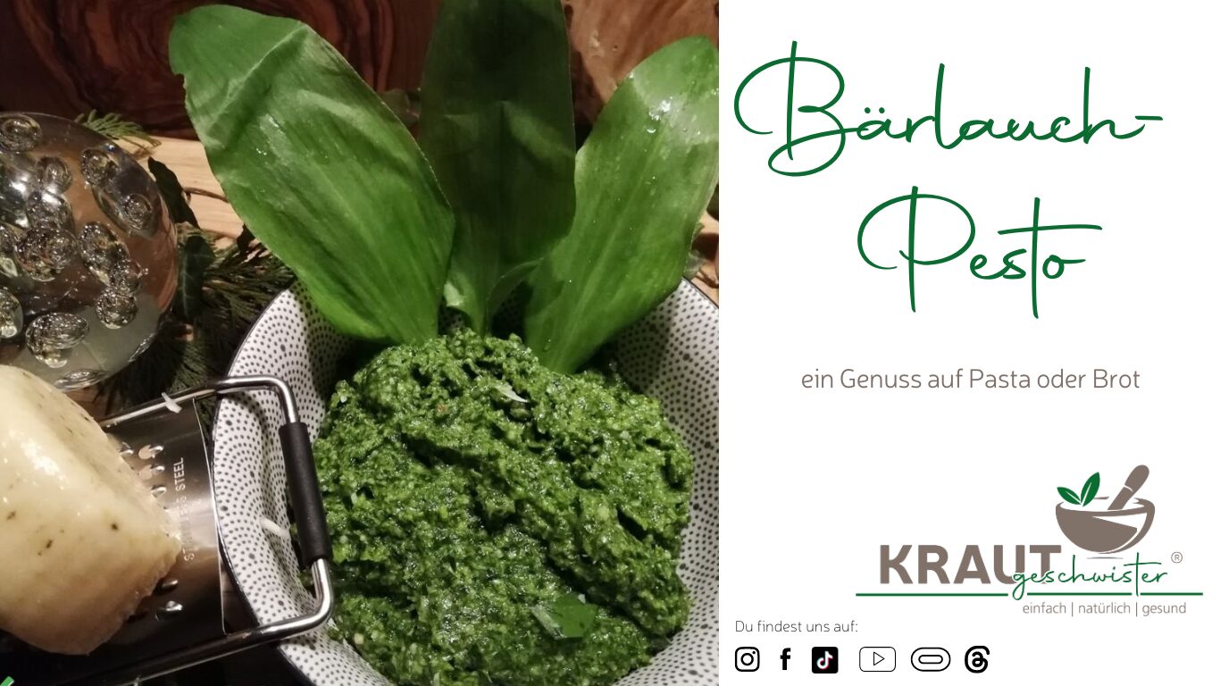 Read more about the article Bärlauch-Pesto