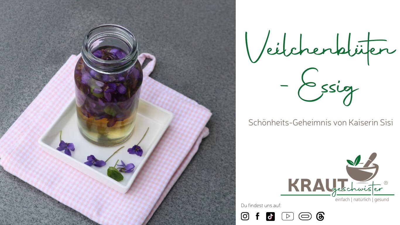Read more about the article Veilchenblüten-Essig