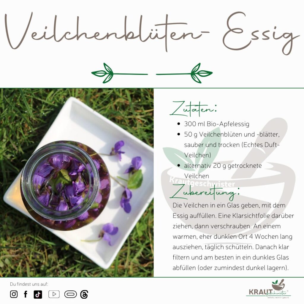 Veilchenblüten-Essig