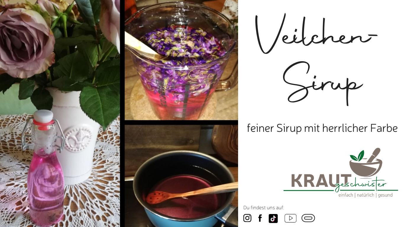 Read more about the article Veilchen-Sirup