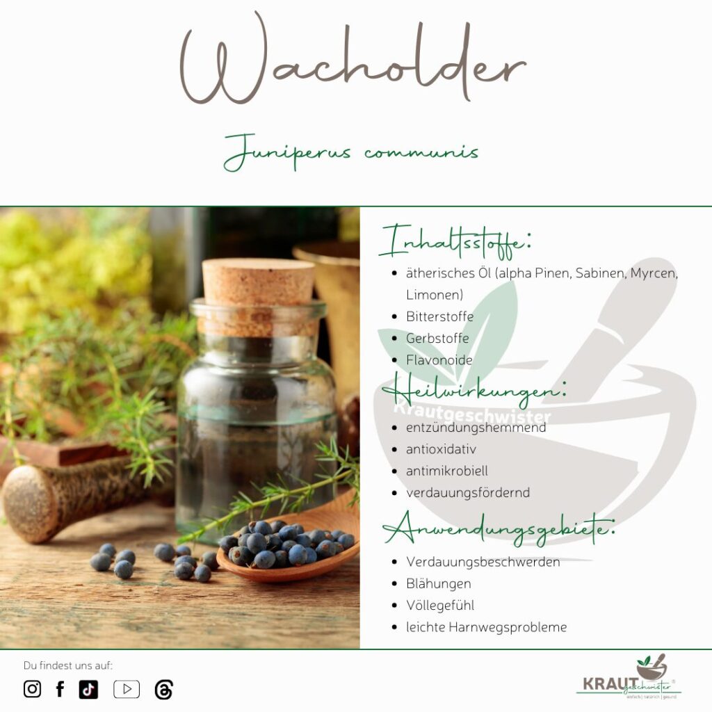 Natur- und Volksheilkunde zur Weihnachtszeit