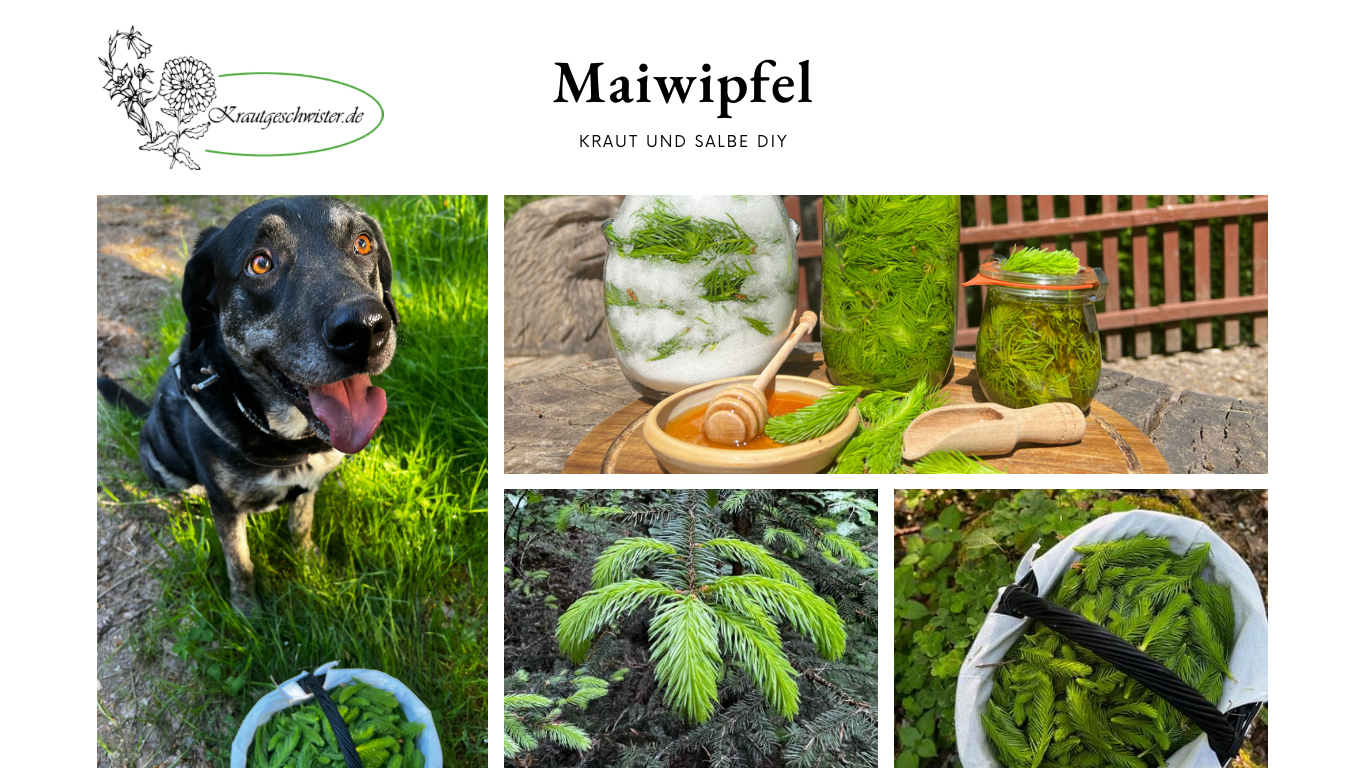 Maiwipfel-Sirup * Schicht-Sirup * Maiwipfel-Honig * Maiwipfel-Likör