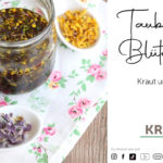 Taubnessel-Blüten-Öl