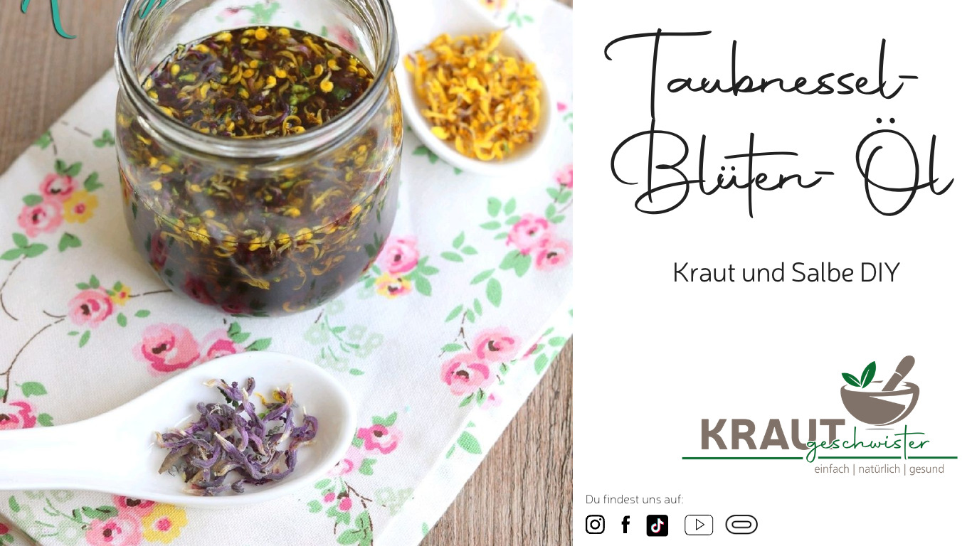 Read more about the article Taubnessel-Blüten-Öl