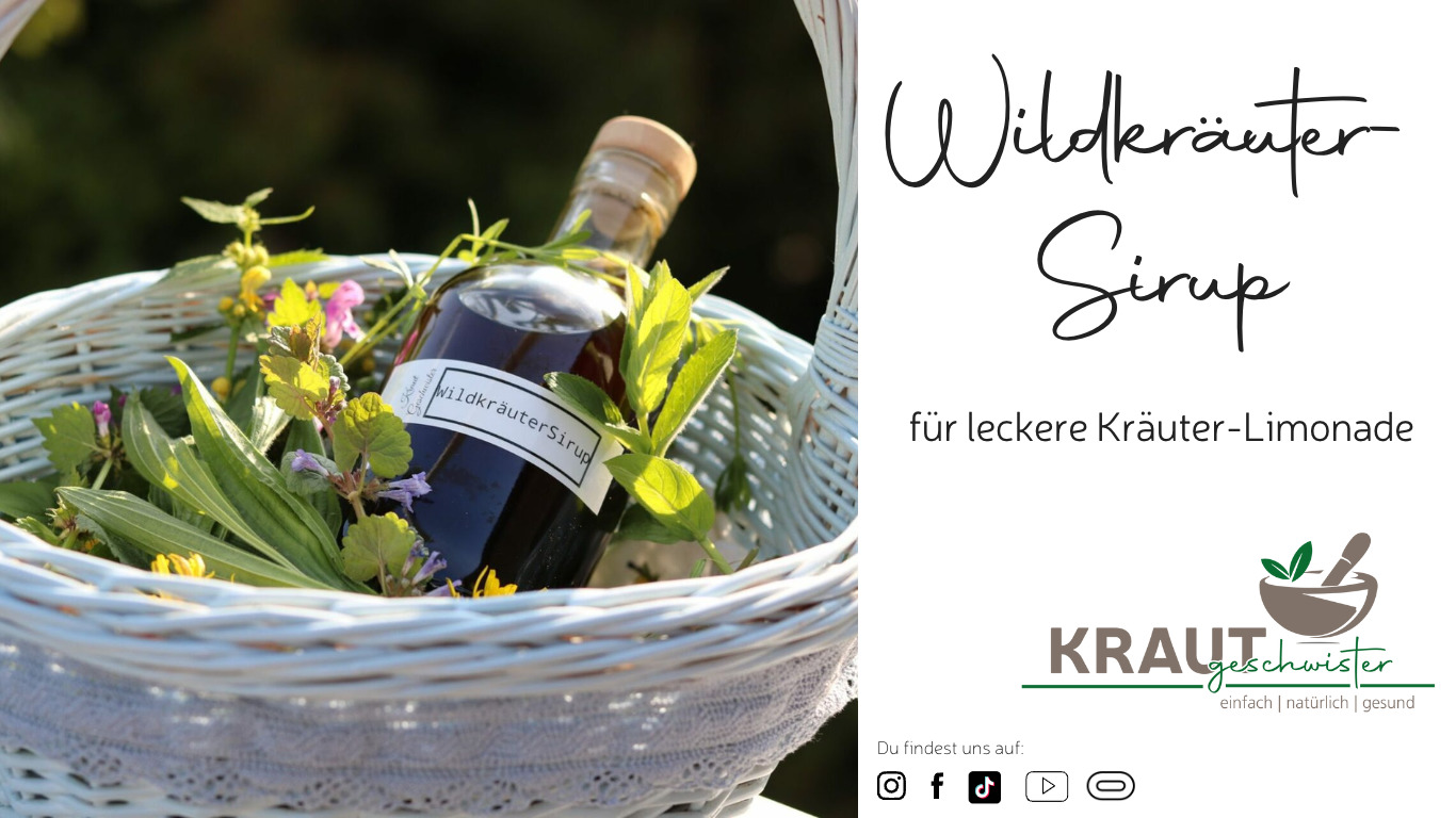 Read more about the article Wildkräuter-Sirup