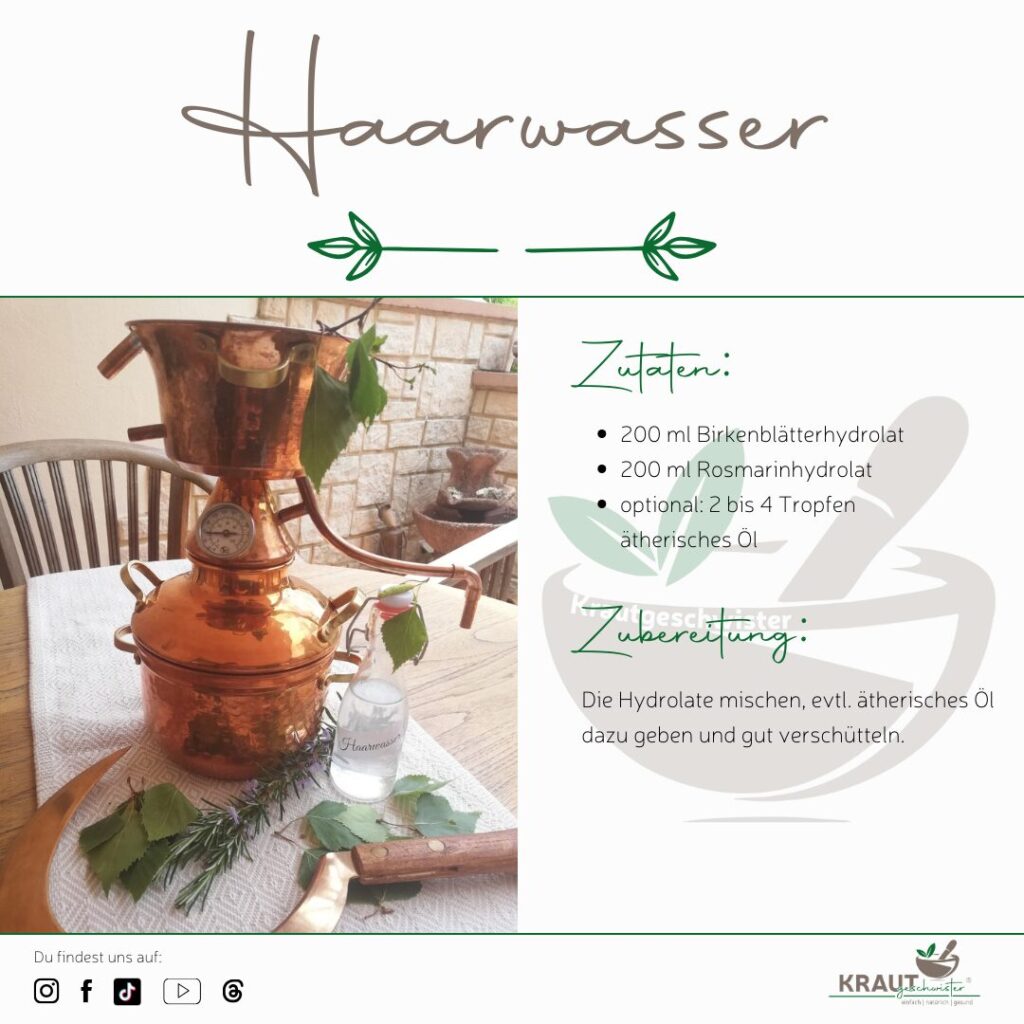 Haarwasser mit Birke und Rosmarin