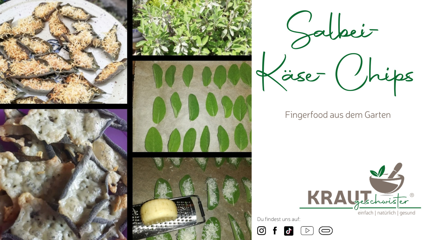 Read more about the article Salbei-Käse-Chips