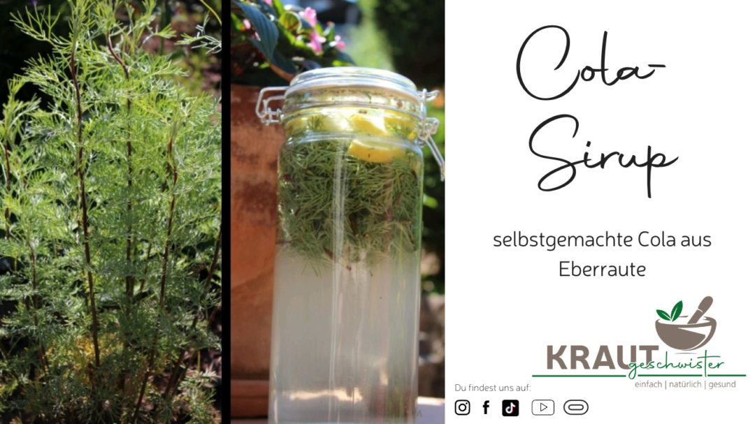 ColaSirup * EberrauteSirup Krautgeschwister