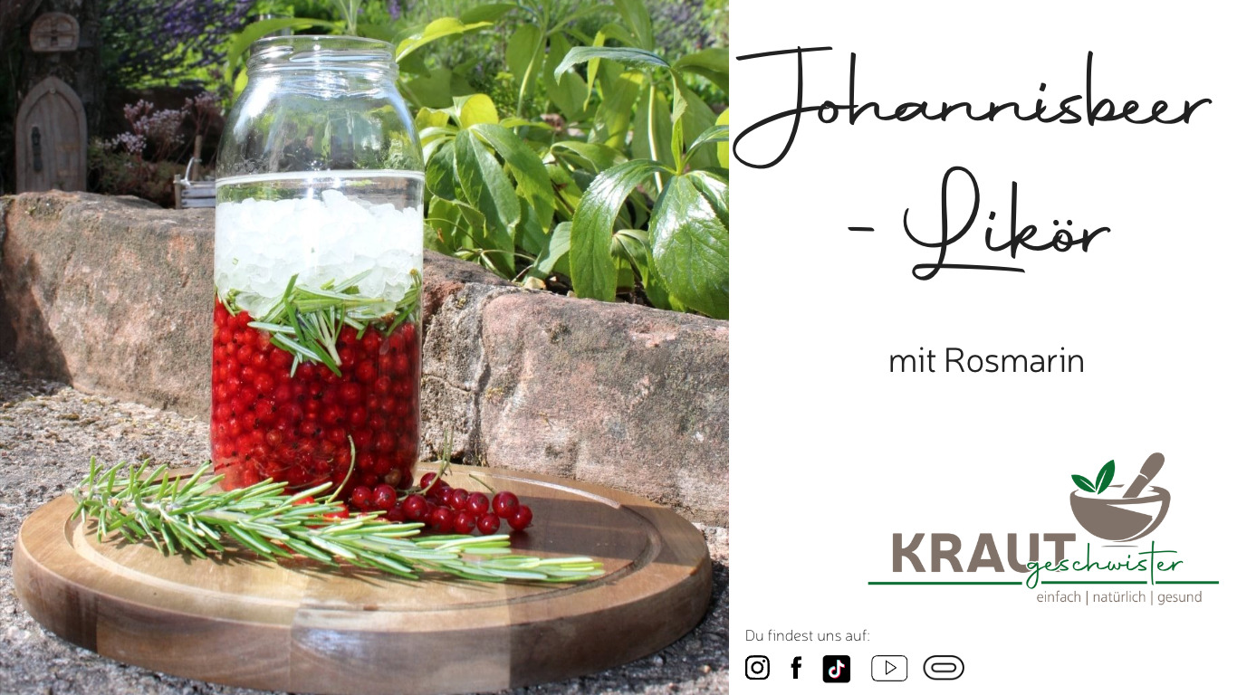 Read more about the article Johannisbeer-Likör mit Rosmarin