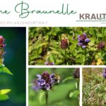 Kleine Braunelle