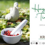 Hagebutten-Tinktur * Arthrose-Tinktur
