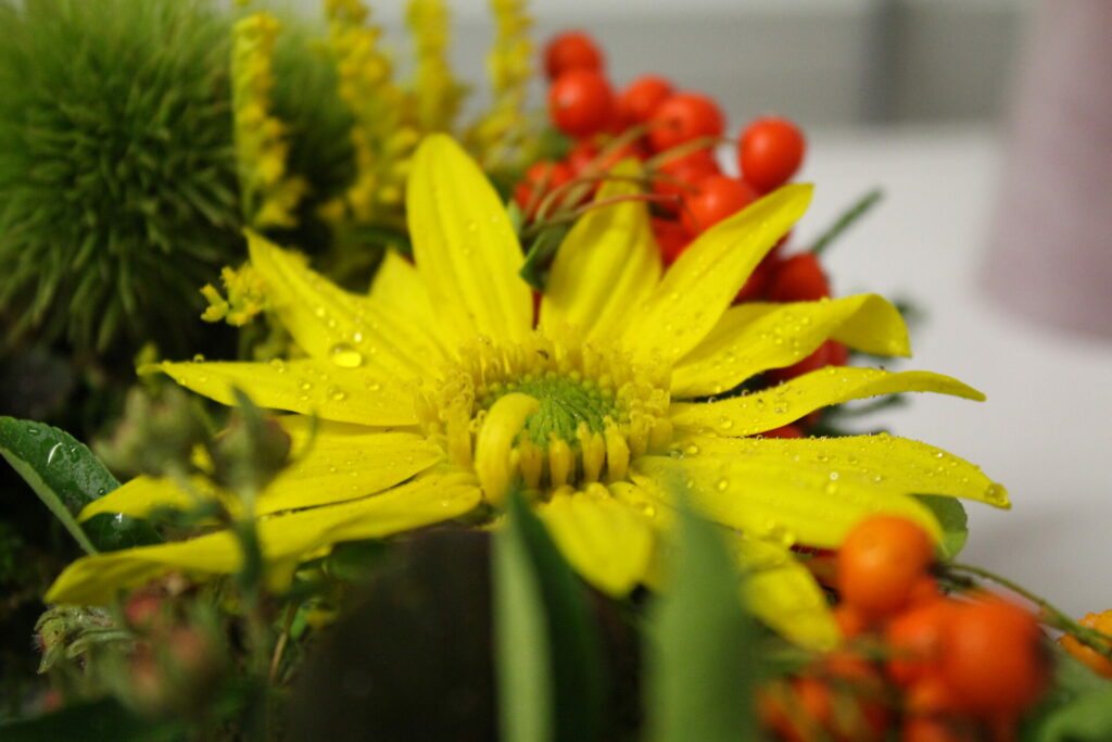 Kräuter-Kranz * Herbst-Kranz binden