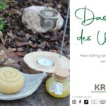 Harz – Das Gold des Waldes