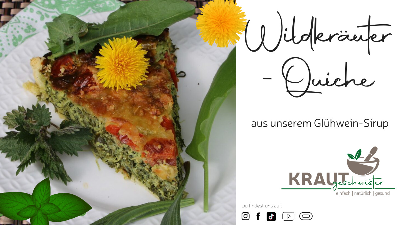 Read more about the article Wildkräuter-Quiche