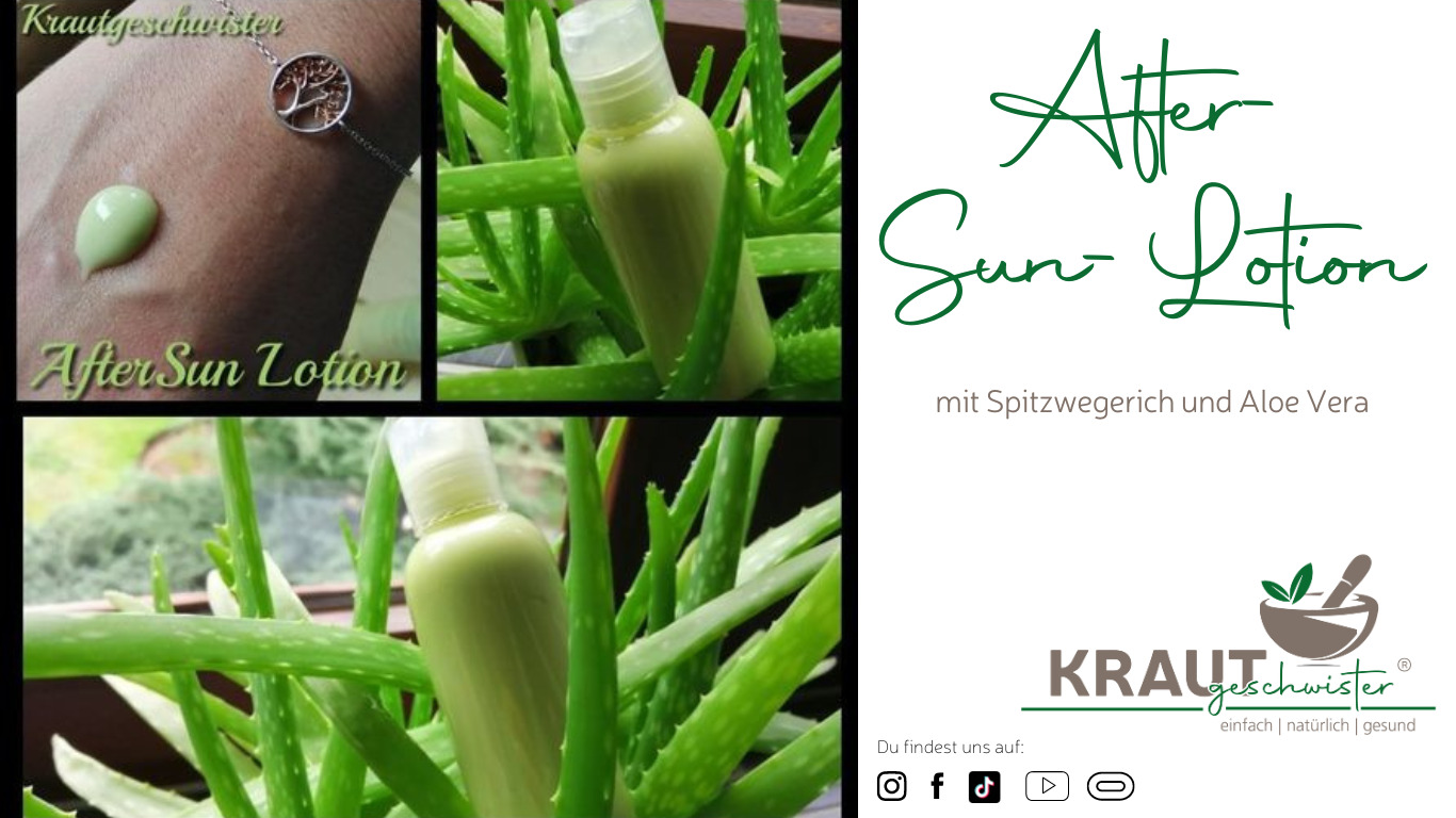 Read more about the article After-Sun-Lotion mit Spitzwegerich und Aloe Vera
