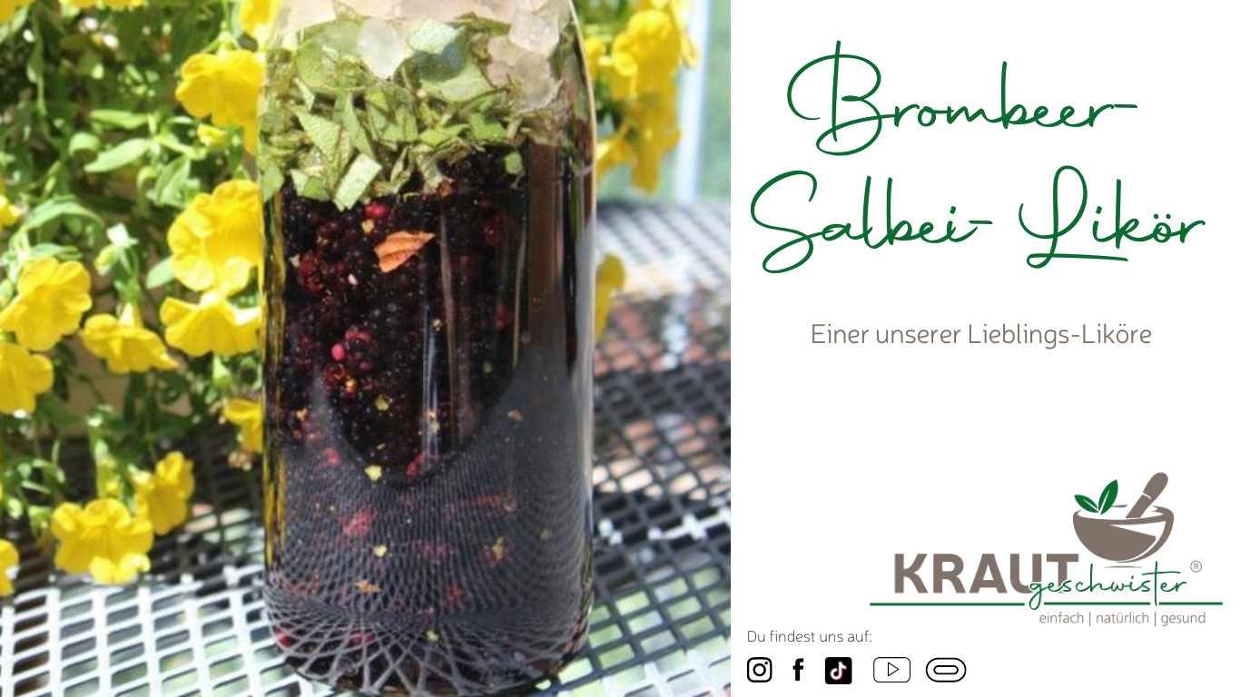 Read more about the article Brombeer-Salbei-Likör