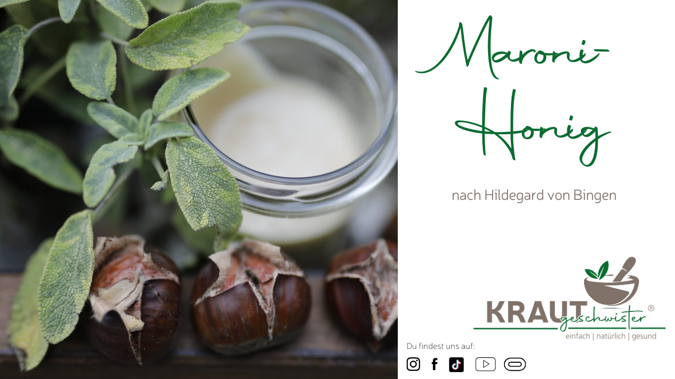 Read more about the article Maroni-Honig nach Hildegard von Bingen