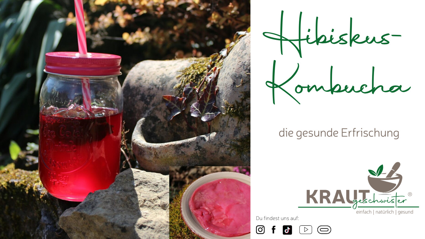 Read more about the article Hibiskus-Kombucha
