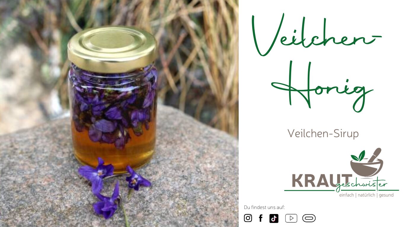 Read more about the article Veilchen-Honig * Veilchen-Sirup
