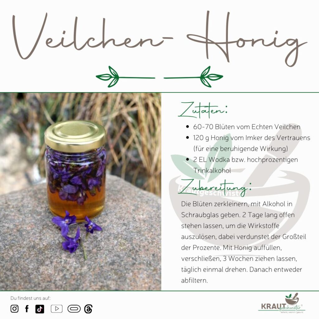 Veilchen-Honig * Veilchen-Sirup