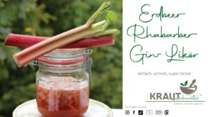 Erdbeer-Rhabarber-Gin-Likör
