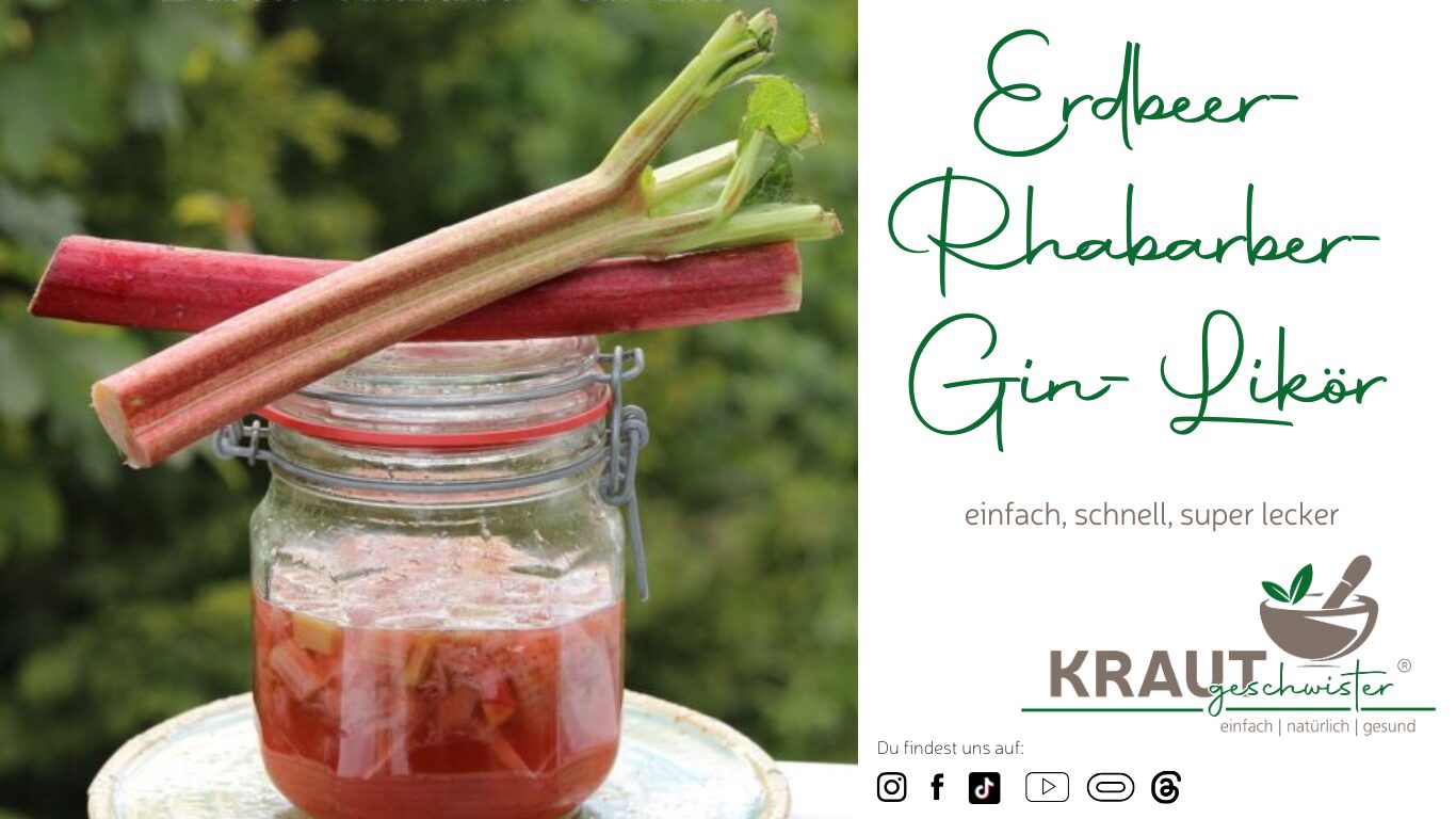 Mehr über den Artikel erfahren Erdbeer-Rhabarber-Gin-Likör