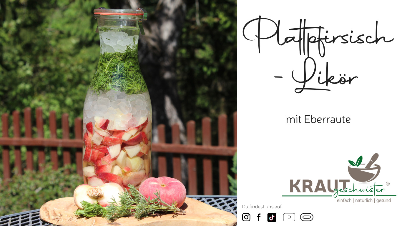Read more about the article Plattpfirsisch-Likör mit Eberraute