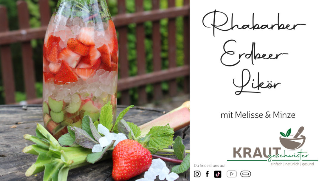 Rhabarber-Erdbeere-Likör mit Minze und Melisse - Krautgeschwister