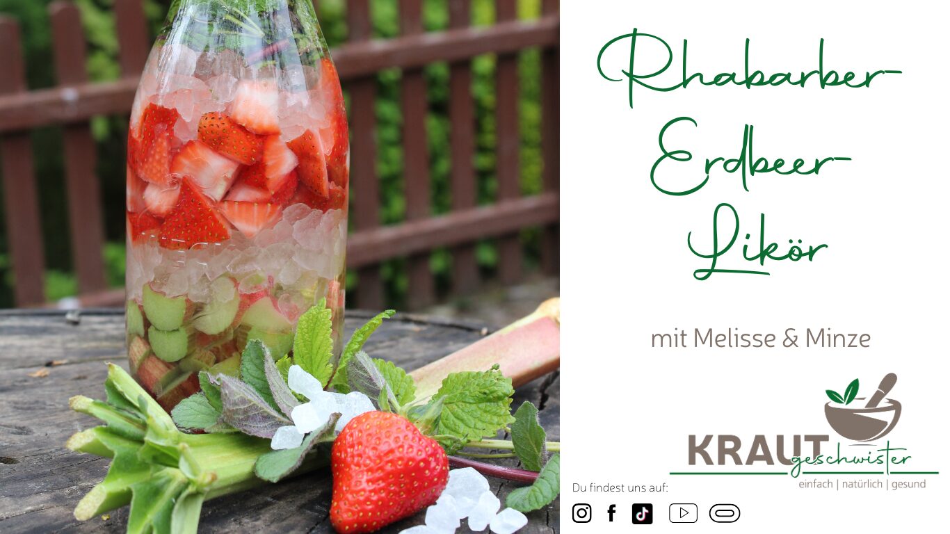 Mehr über den Artikel erfahren Rhabarber-Erdbeere-Likör mit Minze und Melisse