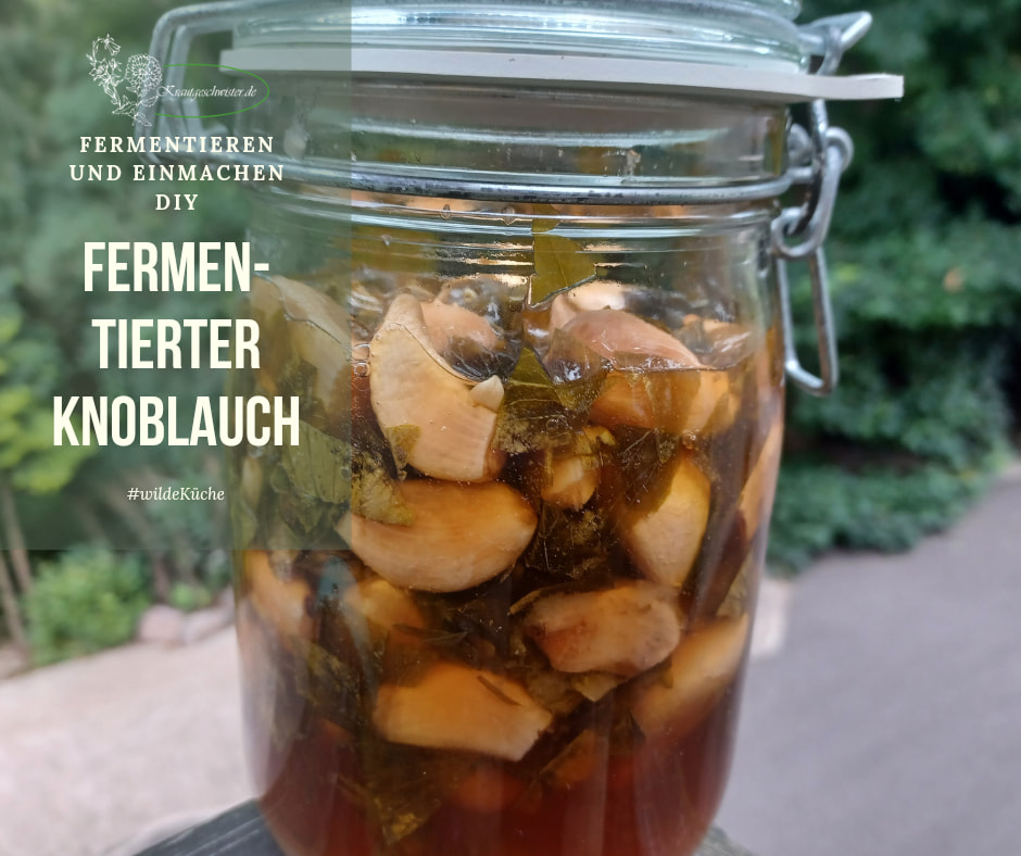 Knoblauchferment