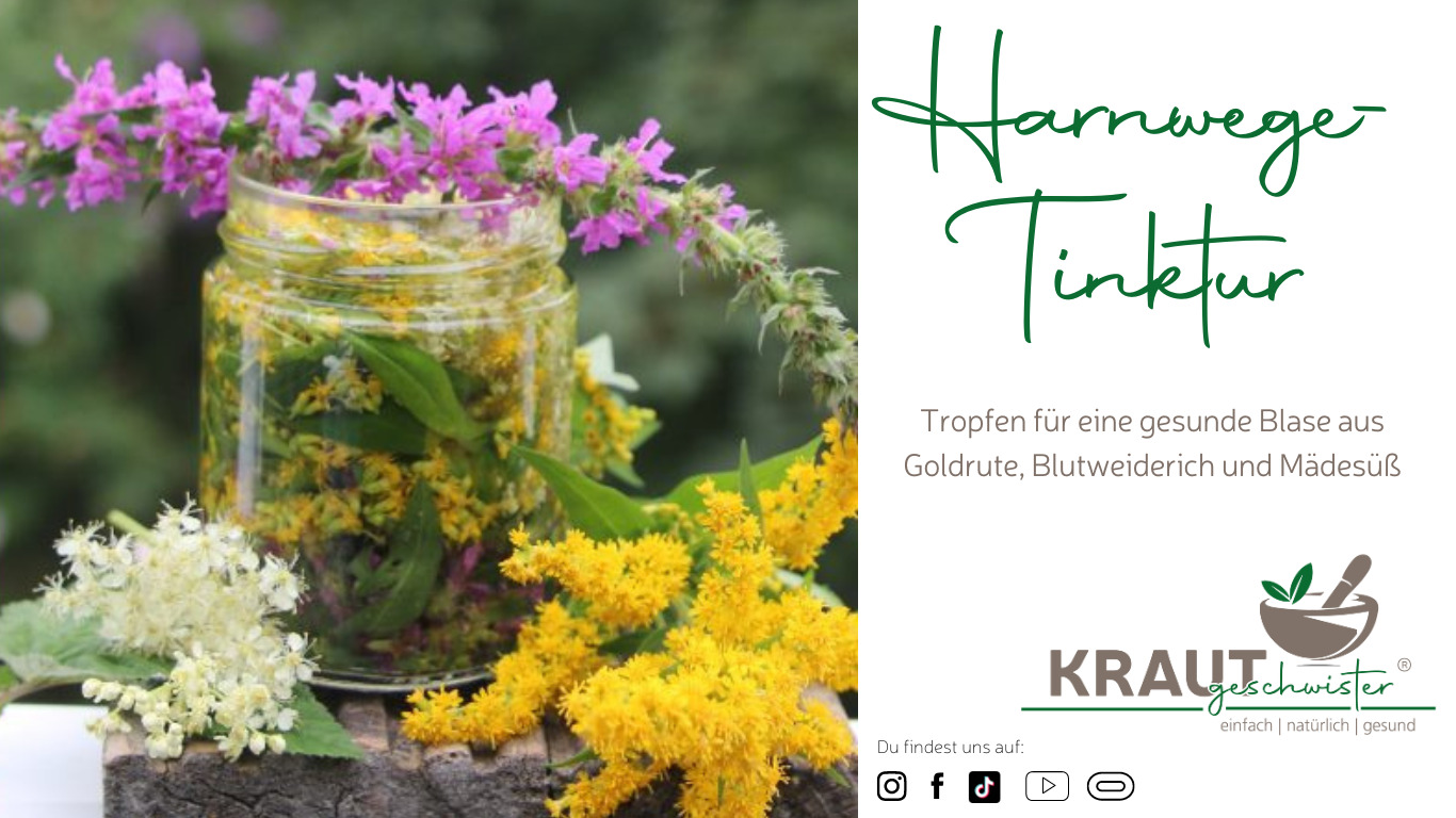 Read more about the article Harnwege-Tinktur * Blasen-Tinktur