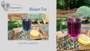 Blauer Tee * Blue-Pea-Flower-Tea