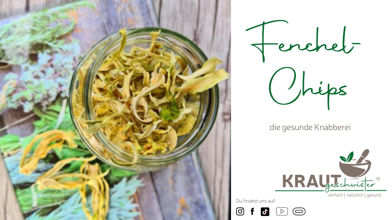 Read more about the article Fenchel-Chips