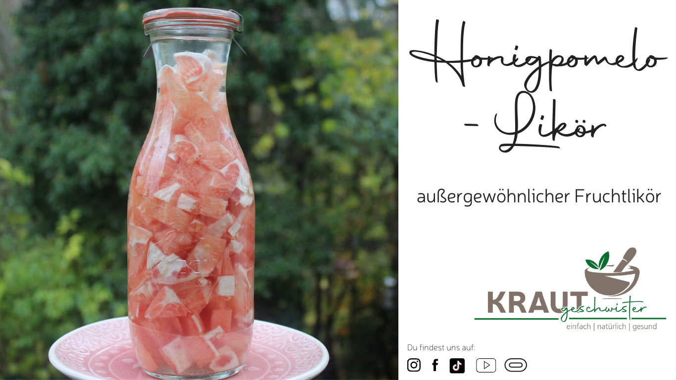 Read more about the article Honigpomelo-Likör