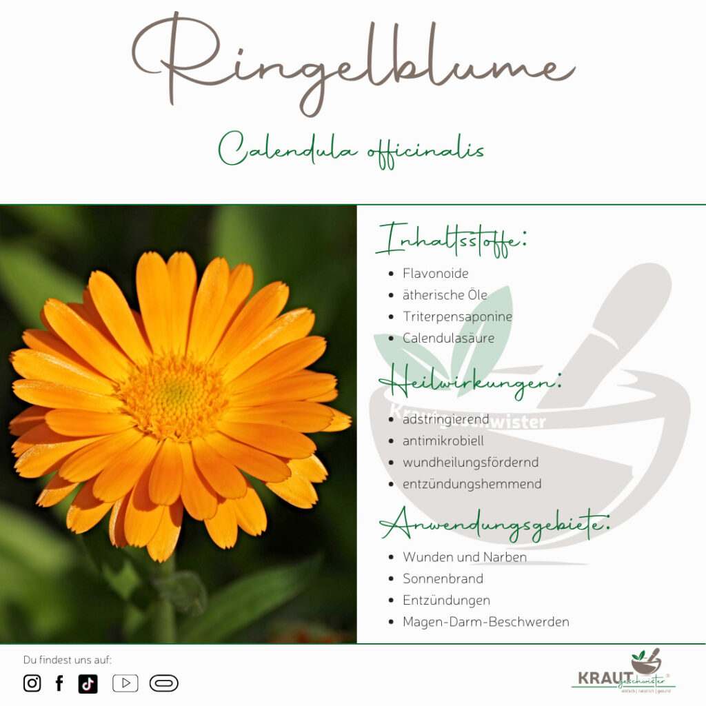 Ringelblumen-Aloe-Fluid