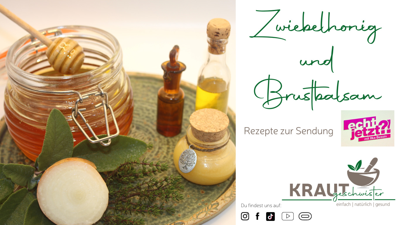 Read more about the article Zwiebelhonig und Brustbalsam