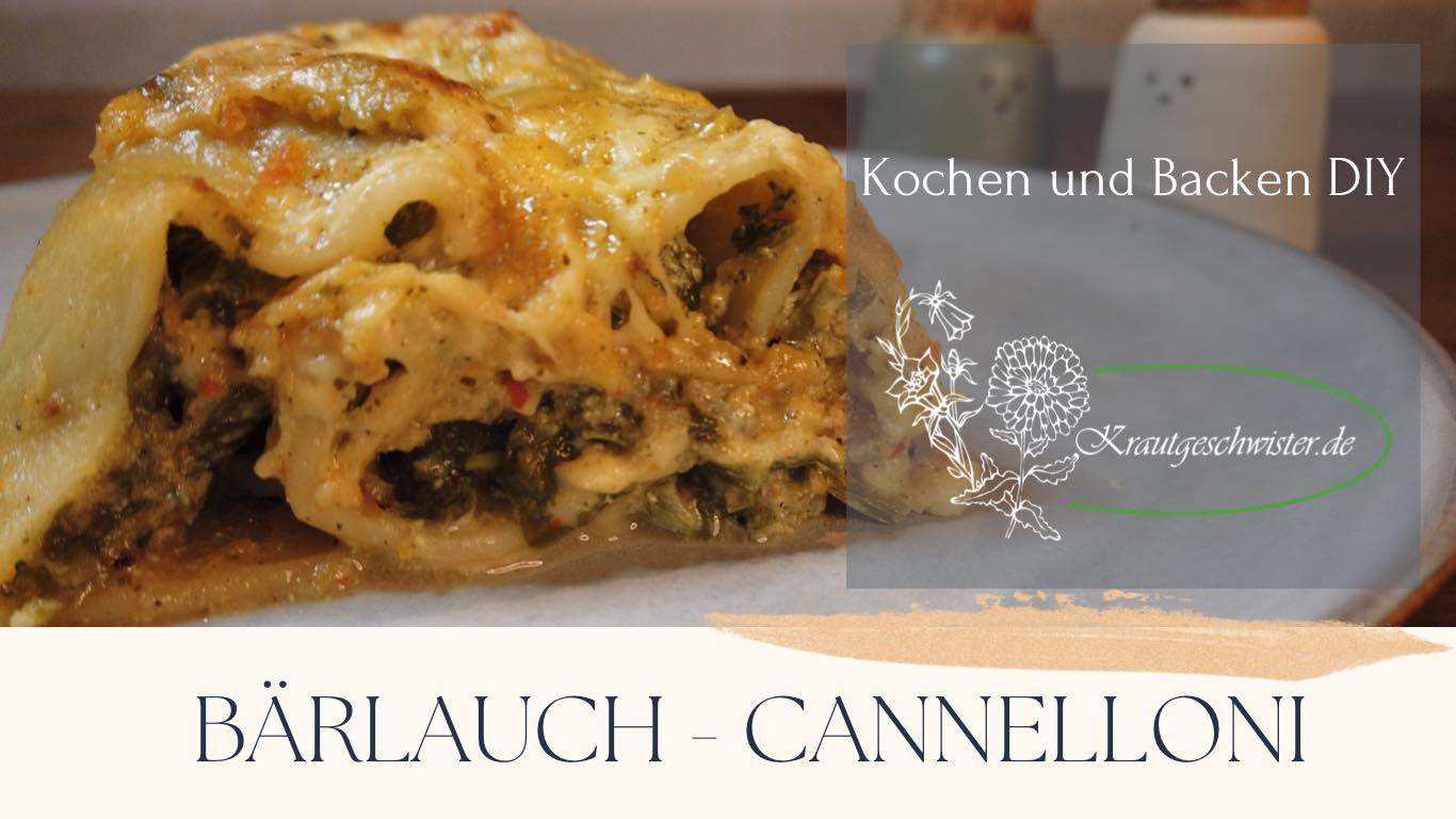 Bärlauch-Cannelloni