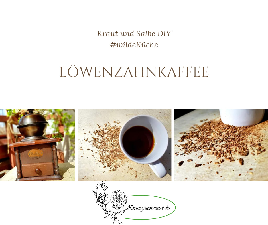 Read more about the article Löwenzahn-Kaffee