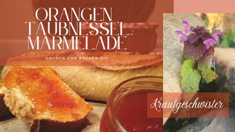 Read more about the article Orangen-Taubnessel-Marmelade