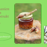 Rosskastanie Gemmotherapie