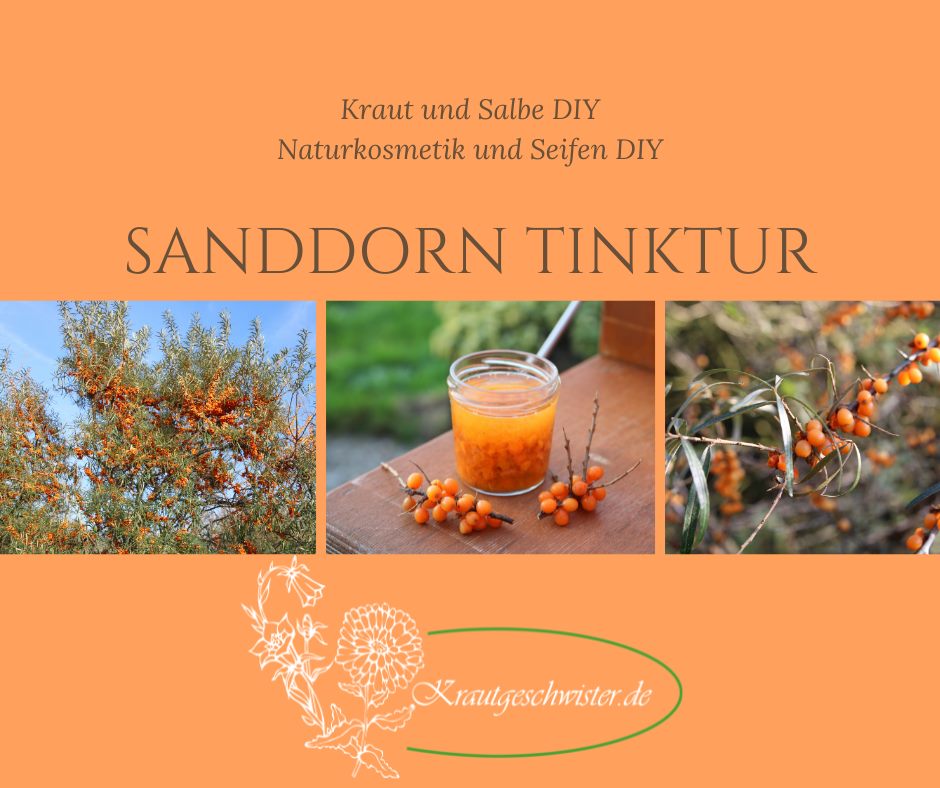 Read more about the article Sanddorn-Tinktur und Ölauszug