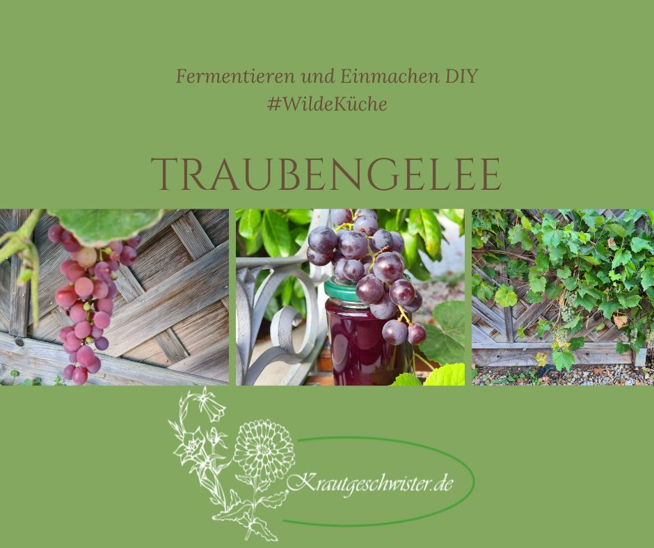 Read more about the article Trauben-Gelee