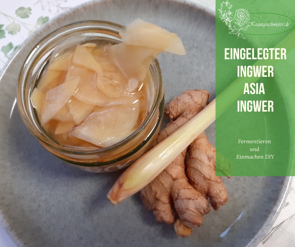 Read more about the article Eingelegter Ingwer