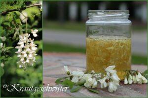 Akazienblüten-Honig * Robinienblüten-Honig