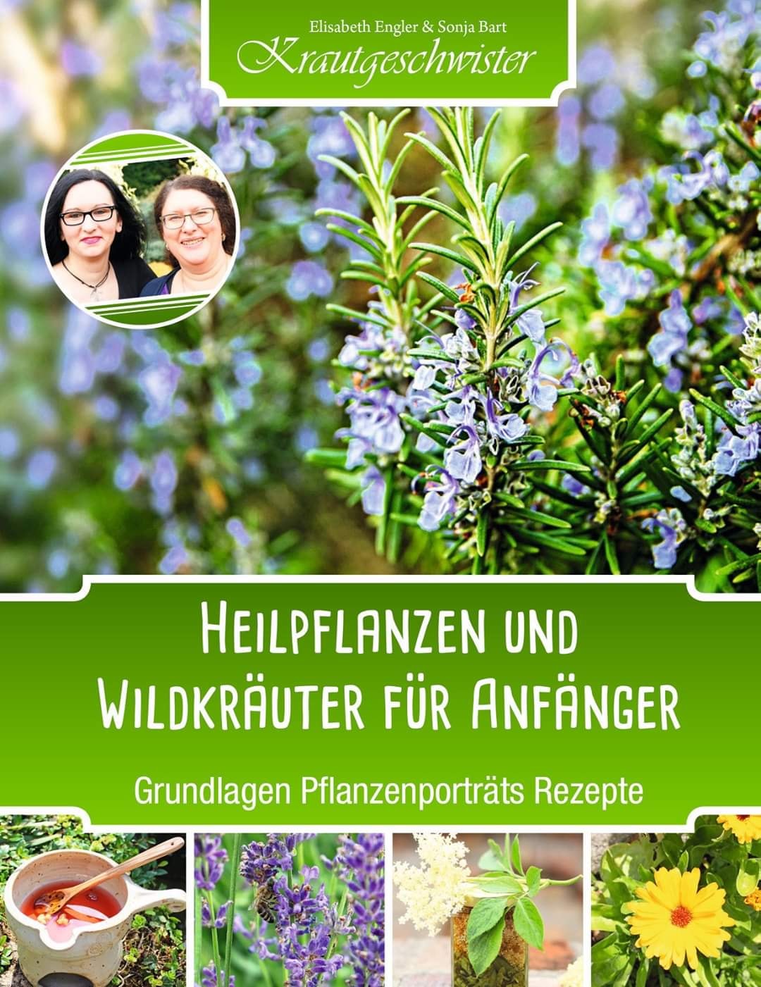 Read more about the article Inhaltsverzeichnis Heilpflanzen und Wildkräuter für Anfänger