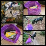 Dreckweg-Tage für eine müllfreie Natur