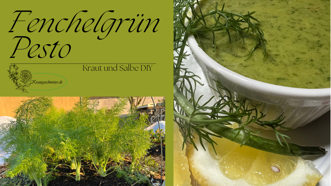 Read more about the article Fenchelgrün-Pesto