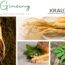 Ginseng – die Wurzel, die Feuer schenkt