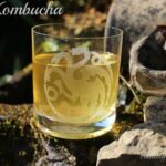 Jun Kombucha